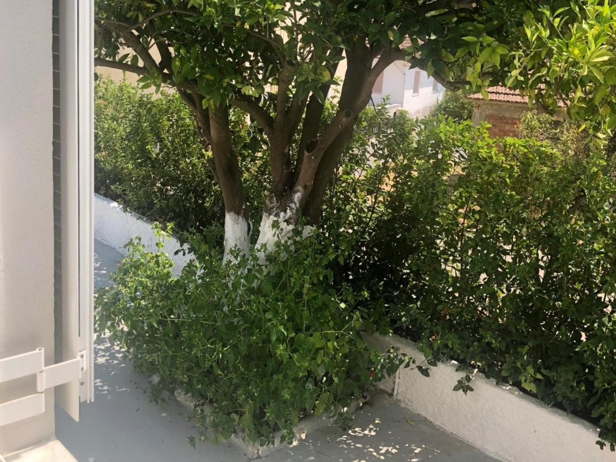 Modern 10mins From The Casa di campagna *